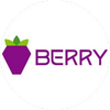 logo berry-data (BRY)