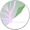 logo cabbage (CAB)