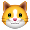 logo kittenfinance (KIF)