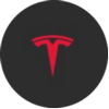 logo mirrored-tesla (mTSLA)