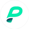 logo page-network (PGX)