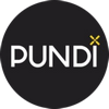 logo pundi-x (NPXS)