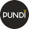 logo pundi-x-new (PUNDIX)