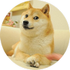 logo the-doge-nft-new (DOG)